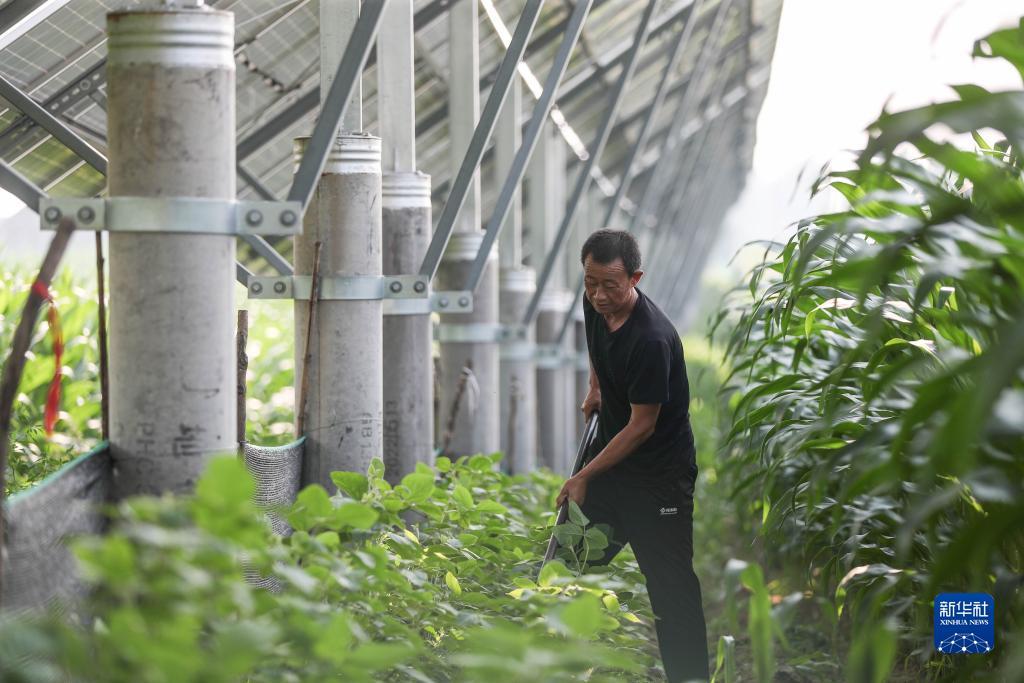 李逵劈鱼 金蟾捕鱼