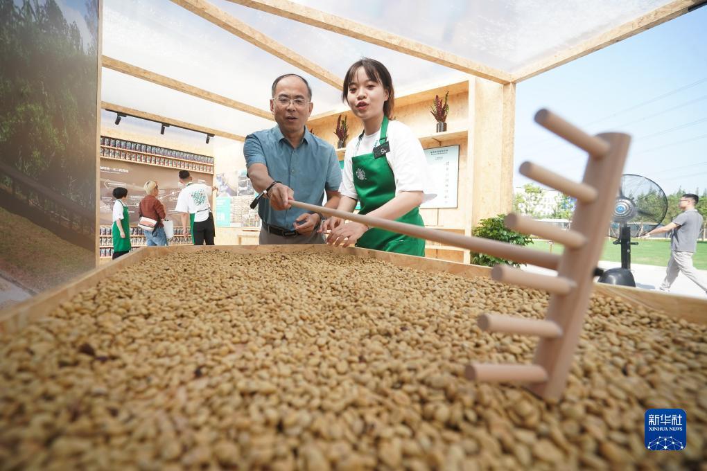 银河网站登录注册